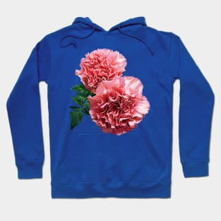 Carnations - Two Pink Carnations and Fern Hoodie